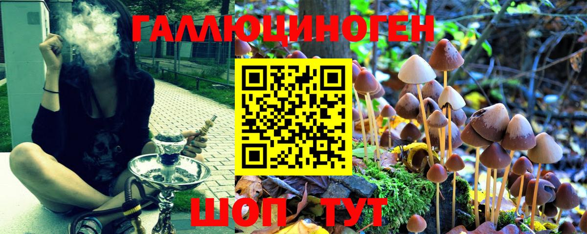Тимашёвск  Псилоцибиновые грибы мухоморы  Вход с VPN 