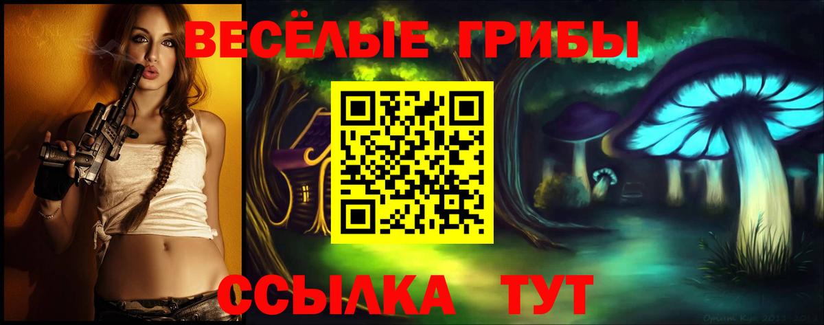Галлюциногенные грибы MAGIC MUSHROOMS Тимашёвск